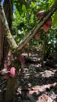  | Bienes Raices Republica Dominicana 